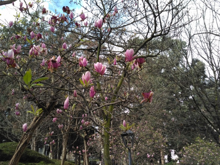 Imagen - Review: Xiaomi Redmi 3, un excelente gama media de un tama&ntilde;o ajustado