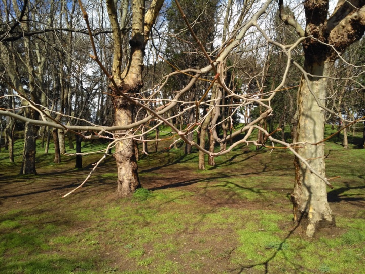 Imagen - Review: Xiaomi Redmi 3, un excelente gama media de un tama&ntilde;o ajustado