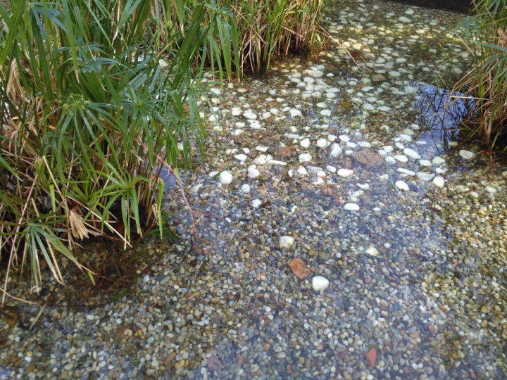 Imagen - Review: Xiaomi Redmi 3, un excelente gama media de un tama&ntilde;o ajustado