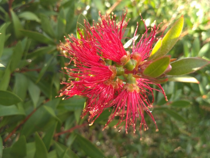 Imagen - Review: Xiaomi Redmi 3, un excelente gama media de un tama&ntilde;o ajustado