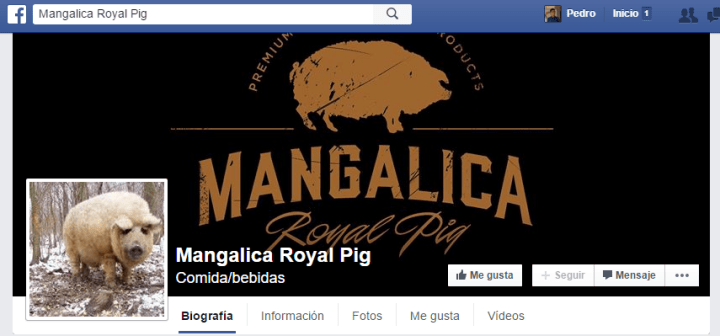 Imagen - &iquest;Cerdo u oveja? El desaf&iacute;o viral triunfa en Facebook