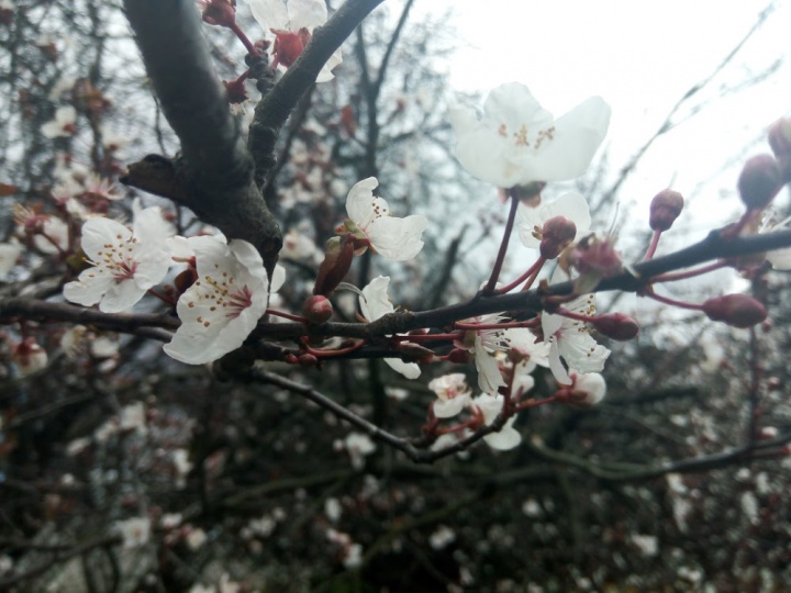 Imagen - Review: Weimei We Plus, un smartphone con buenos acabados y pantalla de lujo