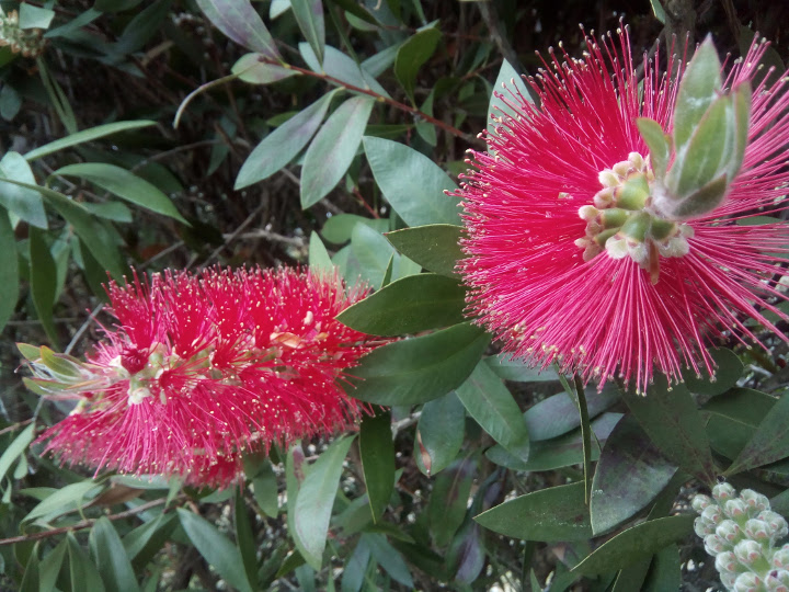 Imagen - Review: MyWigo City 2, la gama media de smartphones se pone seria