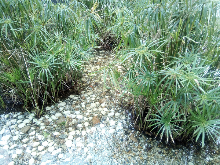 Imagen - Review: MyWigo City 2, la gama media de smartphones se pone seria