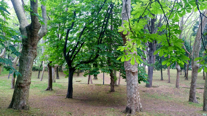 Imagen - Review: Sony Xperia M5, gran dise&ntilde;o y excelente c&aacute;mara un precio ajustado