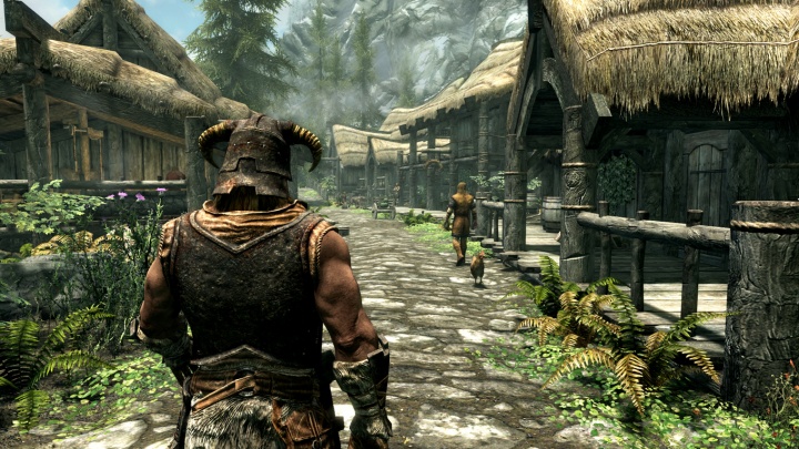 Imagen - The Elder Scrolls V: Skyrim ser&aacute; remasterizado para PlayStation 4 y Xbox One