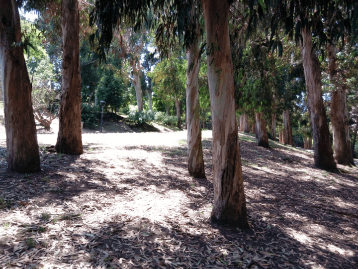 Imagen - Review: Wiko U Feel, un smartphone con un gran dise&ntilde;o y buenas ideas