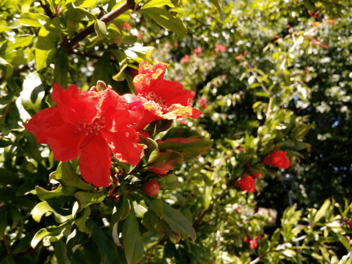 Imagen - Review: Wiko U Feel, un smartphone con un gran dise&ntilde;o y buenas ideas