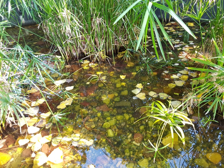 Imagen - Review: Samsung Galaxy S7 Edge, un gama alta que a&uacute;n tiene mucho que decir