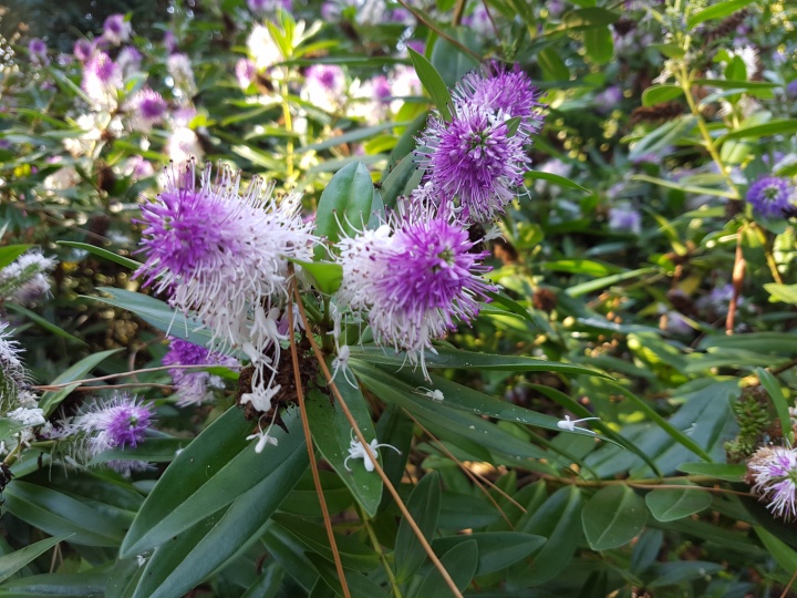 Imagen - Review: Samsung Galaxy S7 Edge, un gama alta que a&uacute;n tiene mucho que decir