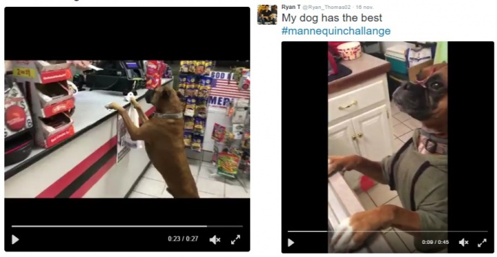Imagen - &iquest;Qu&eacute; es el "Mannequin Challenge"?