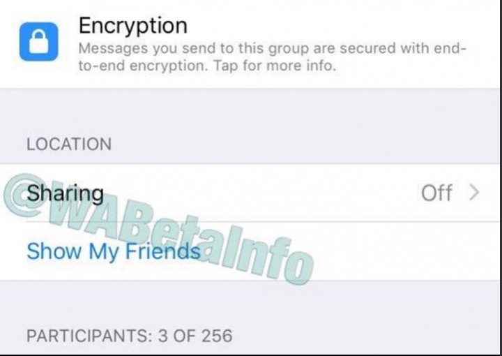Imagen - WhatsApp permitirá compartir tu ubicación en tiempo real