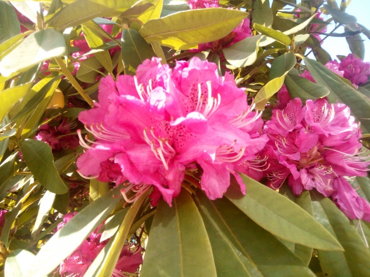 Imagen - Review: Leotec Krypton 2K150, un smartphone low cost de lo m&aacute;s completo