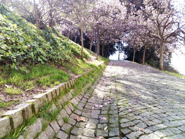 Imagen - Review: MyWigo City 3, un smartphone atractivo a un precio ajustado