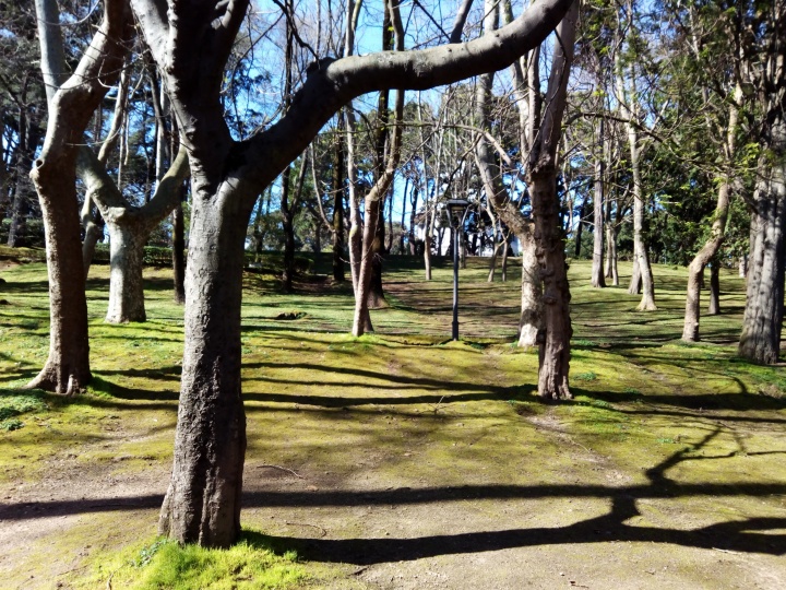 Imagen - Review: MyWigo City 3, un smartphone atractivo a un precio ajustado