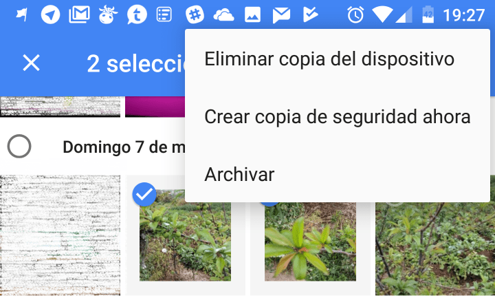 Imagen - Google Fotos ya permite archivar fotos