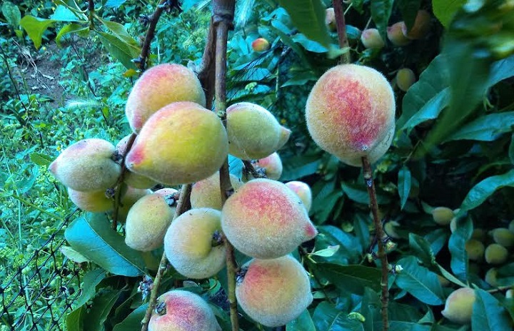 Imagen - Review: Energy Tablet Pro 3, un tablet con un buen dise&ntilde;o e interesantes especificaciones