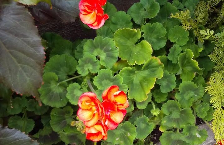 Imagen - Review: Energy Tablet Pro 3, un tablet con un buen dise&ntilde;o e interesantes especificaciones