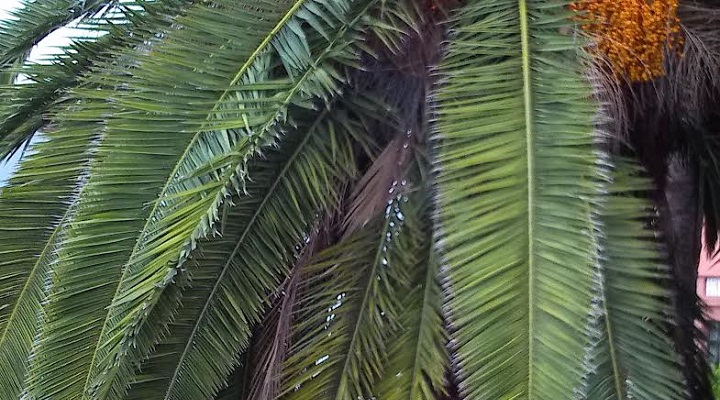 Imagen - Review: Energy Tablet Pro 3, un tablet con un buen dise&ntilde;o e interesantes especificaciones