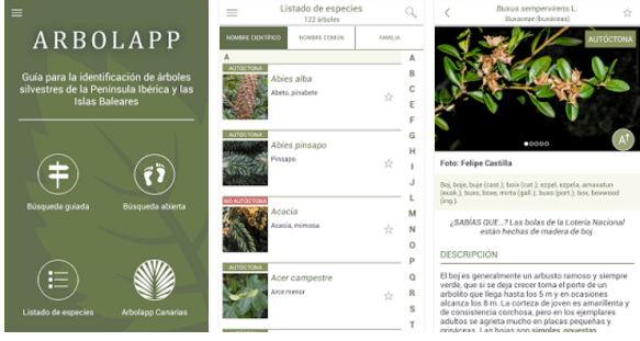 Imagen - 7 apps para identificar plantas