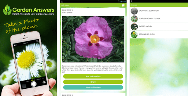 Imagen - 7 apps para identificar plantas
