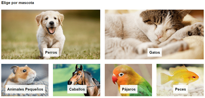 Imagen - Amazon Mascotas, la nueva sección para animales domésticos