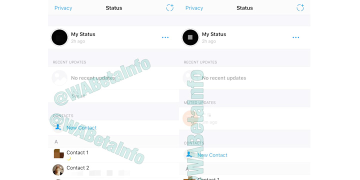 Imagen - WhatsApp recuperar&iacute;a la antigua lista de contactos
