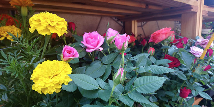 Imagen - Review: Sony Xperia XA1, un móvil gama media de lujo, pero sin lector de huellas