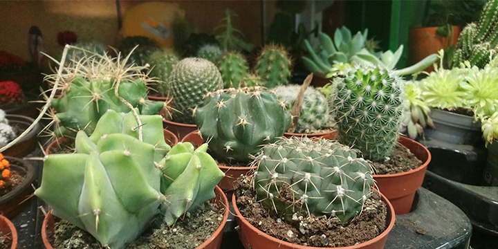 Imagen - Review: Sony Xperia XA1, un móvil gama media de lujo, pero sin lector de huellas