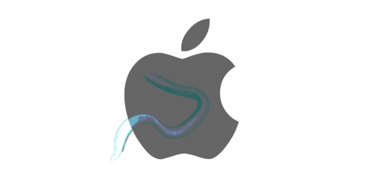 Imagen - Un malware de Mac ha estado espiando a sus usuarios durante 10 a&ntilde;os