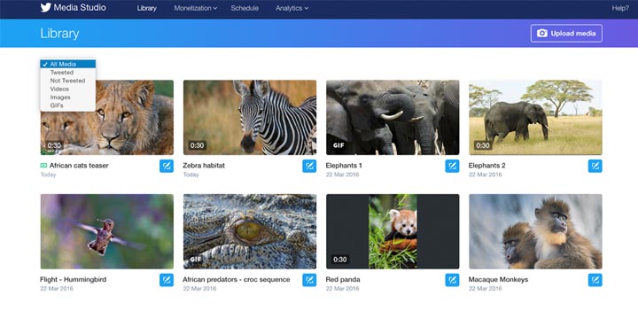 Imagen - &iquest;Qu&eacute; es Twitter Media Studio?