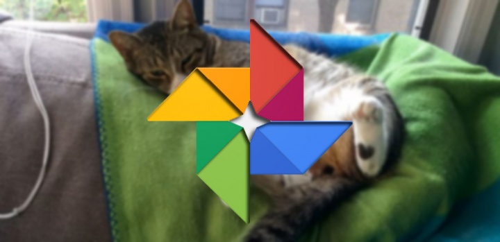 Imagen - Google Fotos elimina el almacenamiento ilimitado para ciertos formatos de v&iacute;deo