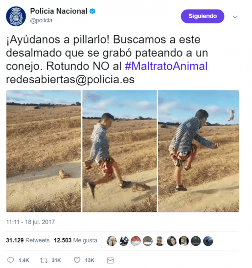 Imagen - Forocoches colabora con la Policía para localizar a un chico que da una patada a un conejo