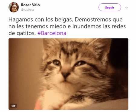 Imagen - No compartas imágenes de Barcelona en redes sociales: comparte gatos