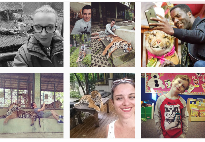 Imagen - Tinder proh&iacute;be los selfies con tigres