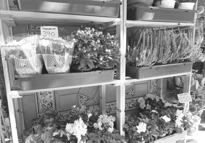 Imagen - Review: Nokia 8, el gama alta de Nokia con una c&aacute;mara potente