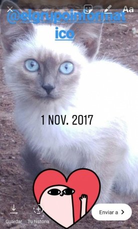 Imagen - Instagram Stories ya permite subir fotos y vídeos sacados hace más de 24 horas