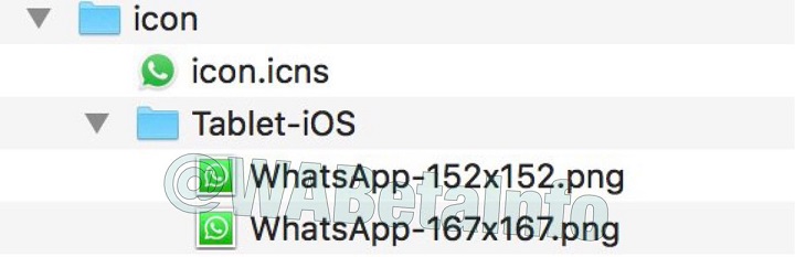 Imagen - WhatsApp para iPad se podr&aacute; descargar pronto