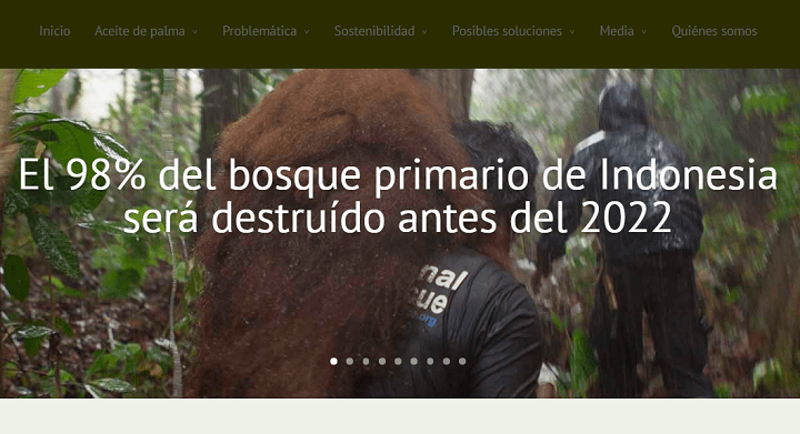 Imagen - Aceitedepalma.org, la web para consultar sobre el aceite de palma