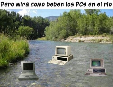 Imagen - 20 felicitaciones de Nochebuena para WhatsApp