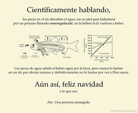 Imagen - 20 felicitaciones de Nochebuena para WhatsApp