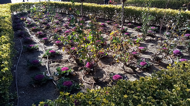 Imagen - Review: Honor 6C Pro, un m&oacute;vil que destaca por su pantalla, fotograf&iacute;a y sensor de huellas