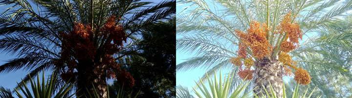 Imagen - Review: Asus Zenfone 4 Selfie Pro, un m&oacute;vil con muchas sorpresas