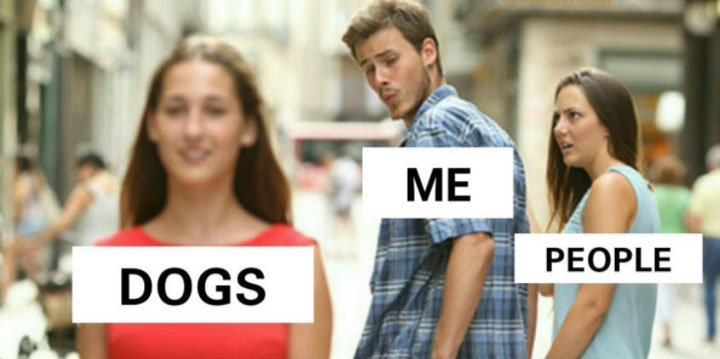 Imagen - La Biblioteca Nacional est&aacute; guardando memes de Internet