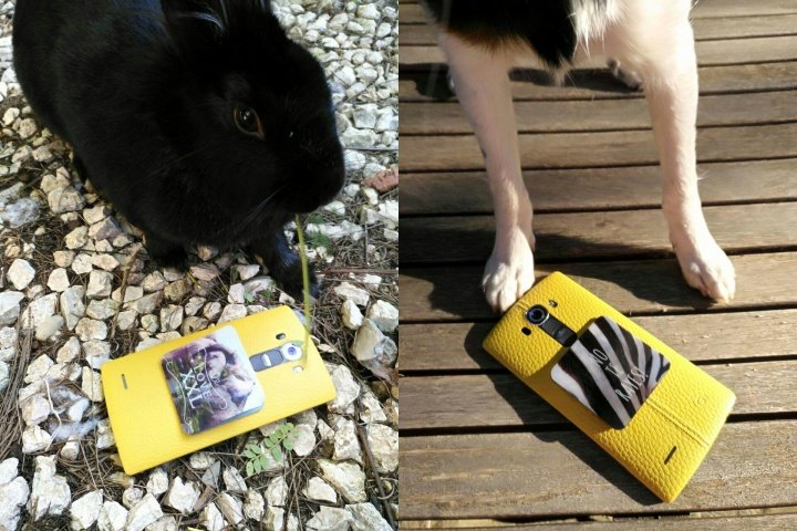 Imagen - Review: WTF?! Smart Stickers, pega tu m&oacute;vil en cualquier lugar con este accesorio