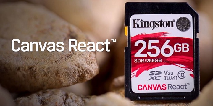 Imagen - Canvas Select, Go! y React, las nuevas SD y microSD de Kingston para v&iacute;deo y fotos