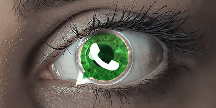 Imagen - WhatsApp confirma la llegada de los anuncios