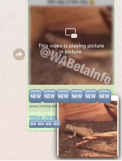 Imagen - WhatsApp ya permite ver vídeos de Facebook e Instagram sin salir de la aplicación