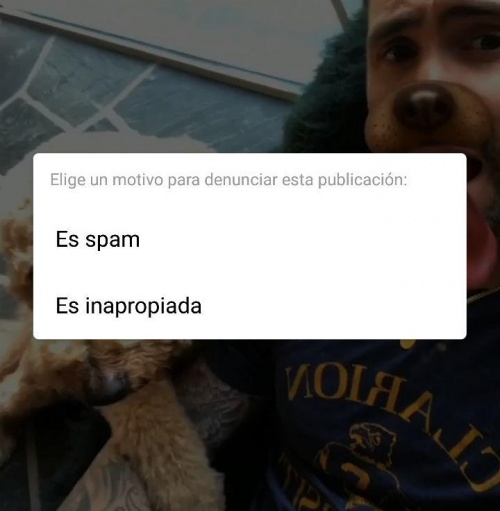 Imagen - C&oacute;mo denuncio un v&iacute;deo en IGTV