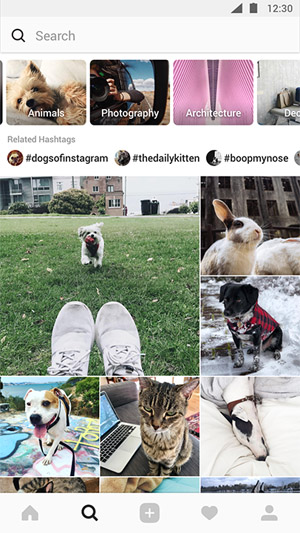 Imagen - Instagram explica cómo funciona el algoritmo que ordena las fotos del timeline